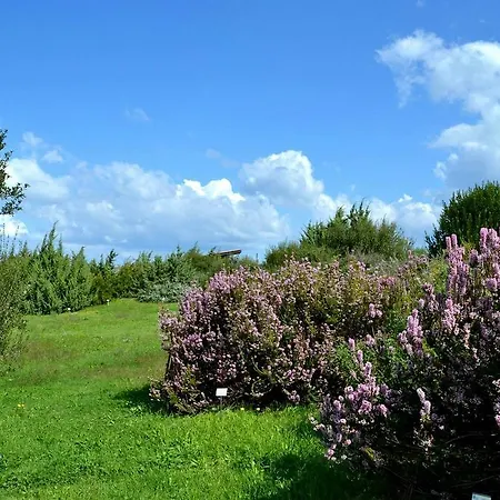 Pepita Flats Apartamento *