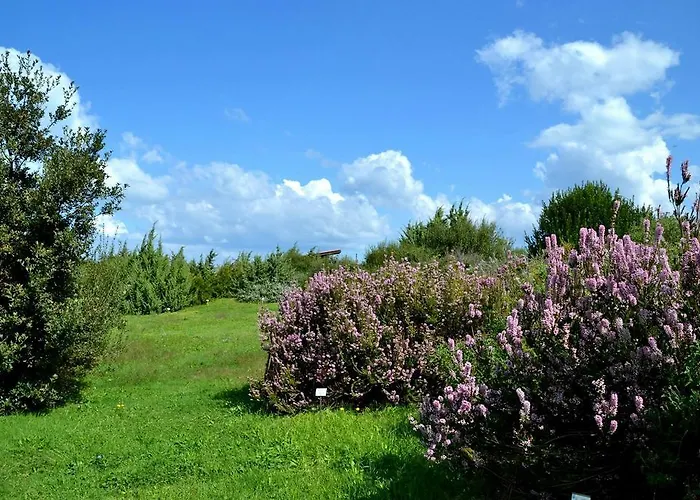 Pepita Flats Apartment *